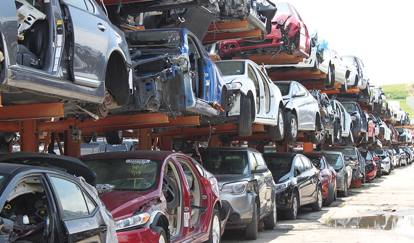 Making the Green by Keeping It Clean  