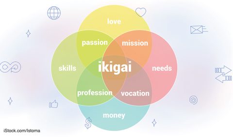 MEANING OF LIFE IKIGAI S IMPACT ON FULFILLMENT visual data 4